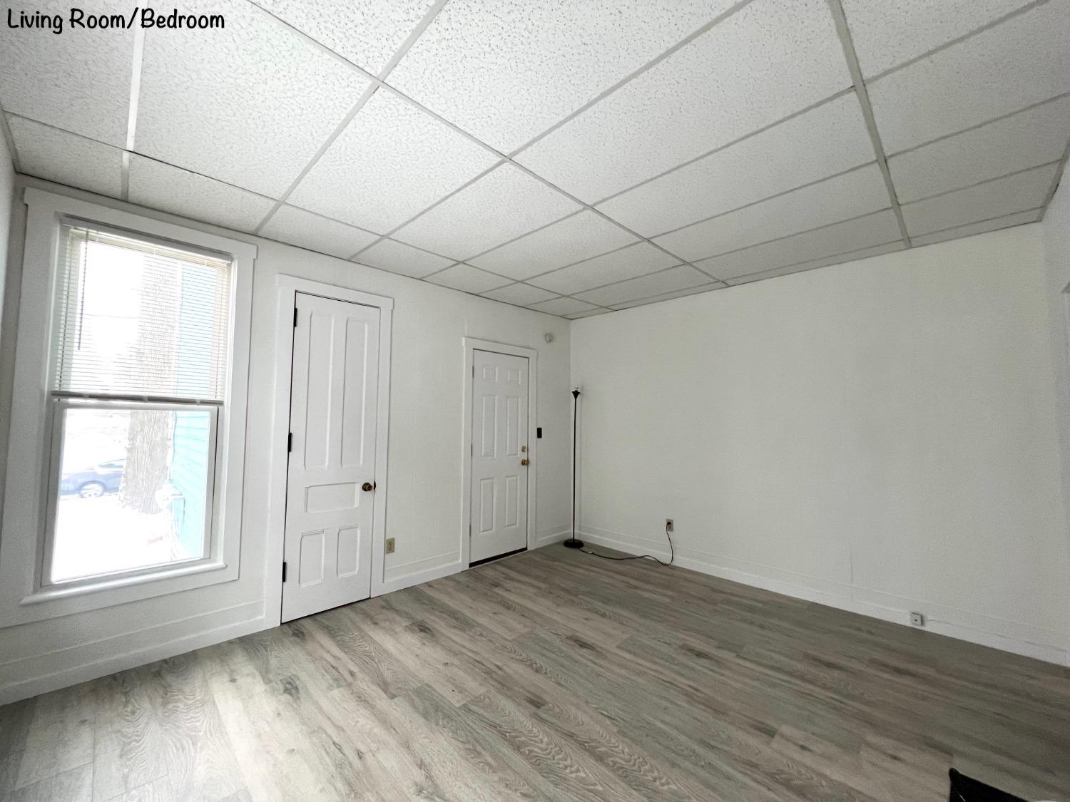 89 Chestnut Street, Unit 2 Oneonta, NY 13820 - Photo 8 of 13 Livingroom/bbedroom