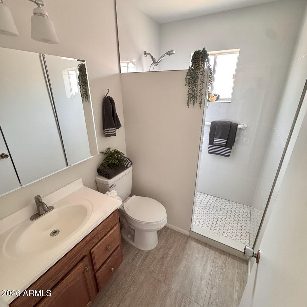 5437 East Butte Street Mesa, AZ 85205 - Photo 27 of 56 a bathroom with a sink toilet and shower