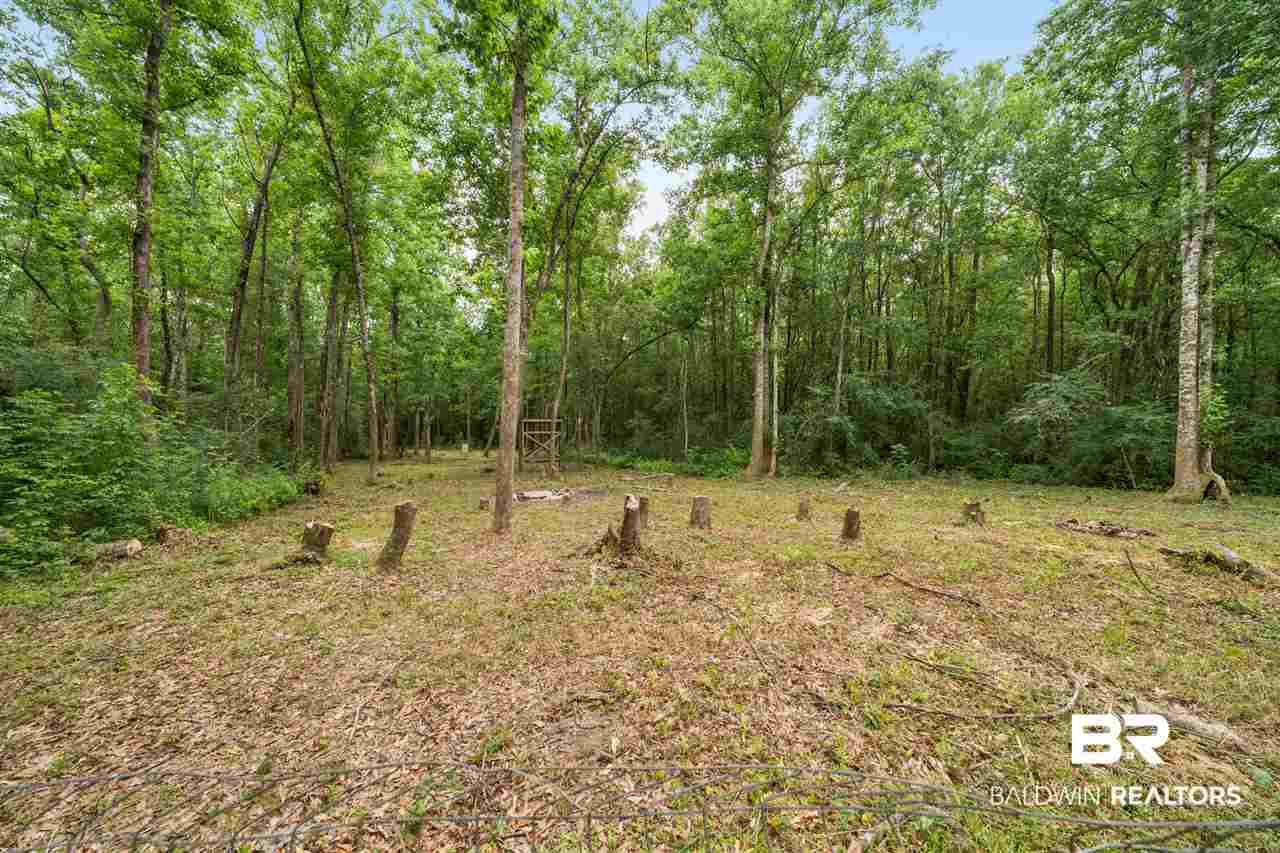 8239 Murray Hill Road Irvington, AL 36544 - Photo 8 of 37