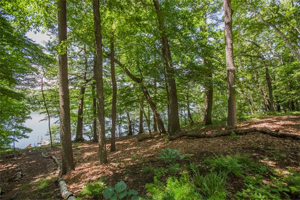 95 Lake Rd Terrace Wayland, MA 01778 - Photo 25 of 30 Gallery Image 25