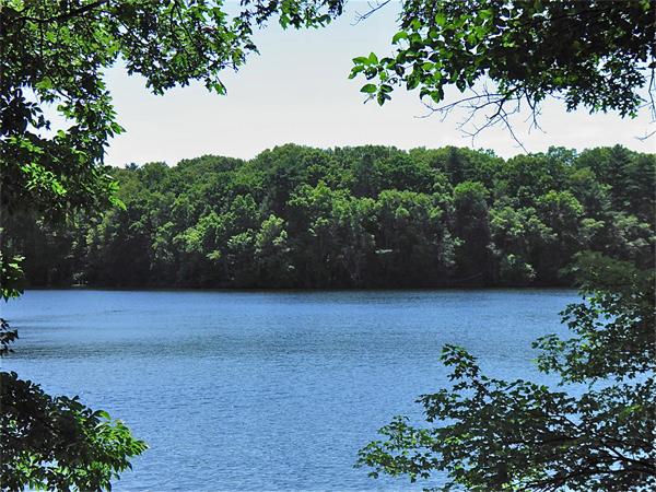 95 Lake Rd Terrace Wayland, MA 01778 - Photo 29 of 30 Gallery Image 29