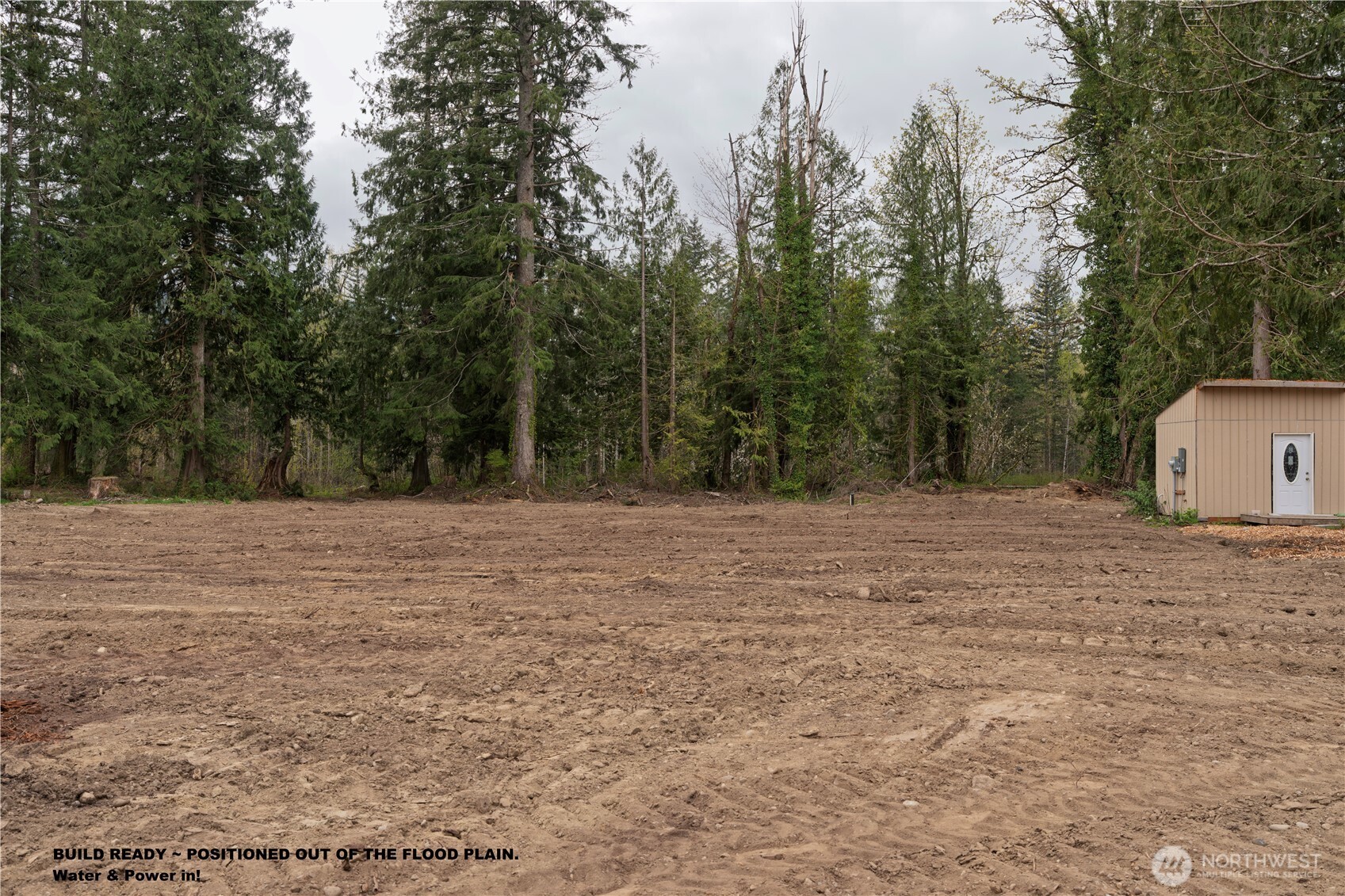 a view of a dry yard with trees