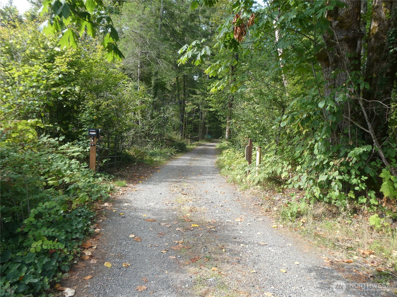 1212 Croft Avenue Gold Bar, WA 98251 - Photo 18 of 18 a view of outdoor space and trees all around
