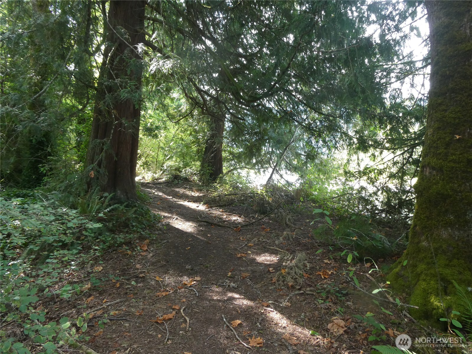 1212 Croft Avenue Gold Bar, WA 98251 - Photo 10 of 18 a view of forest