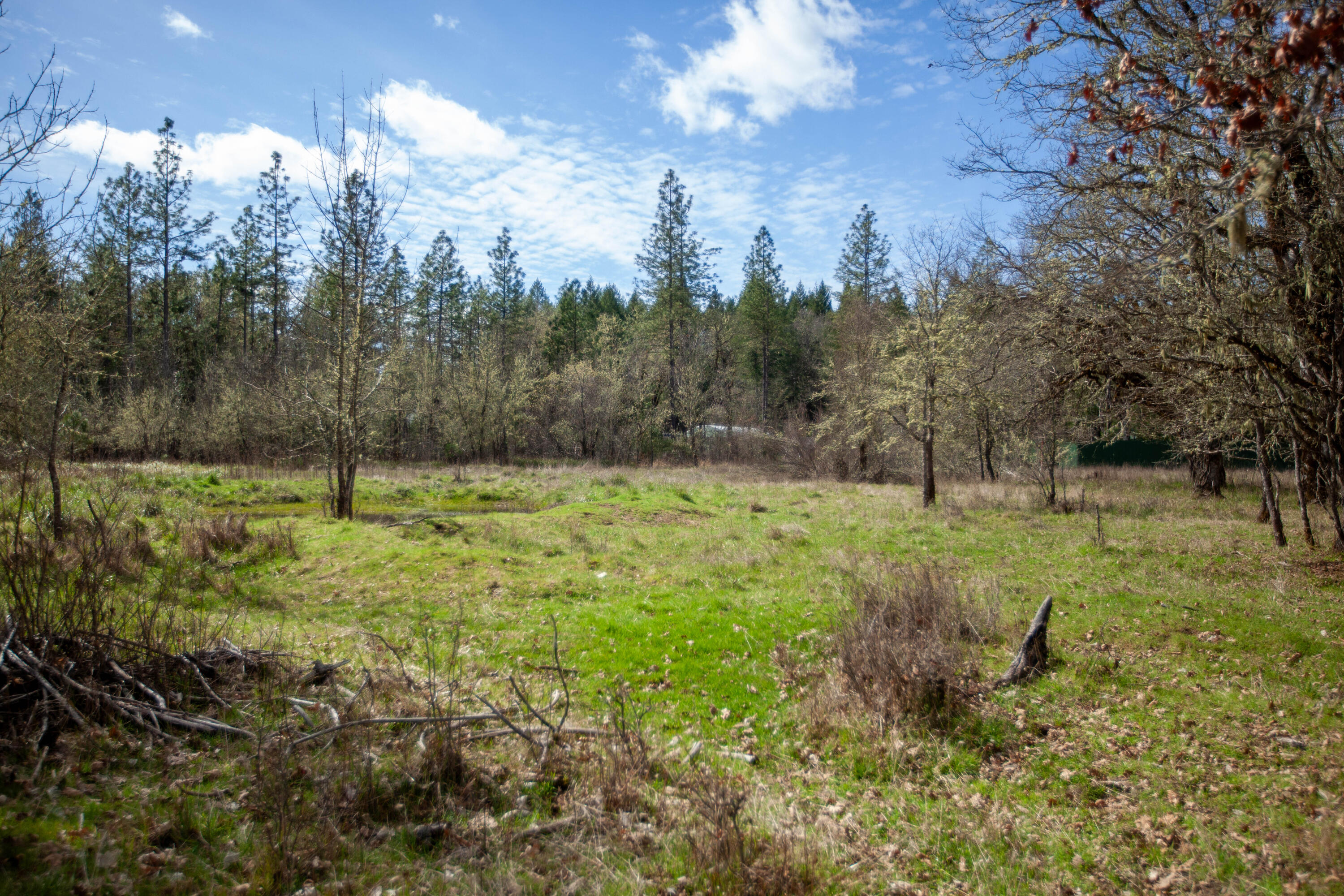 3759 Dick George Road Cave Junction, OR 97523 - Photo 12 of 15 Dick George-5