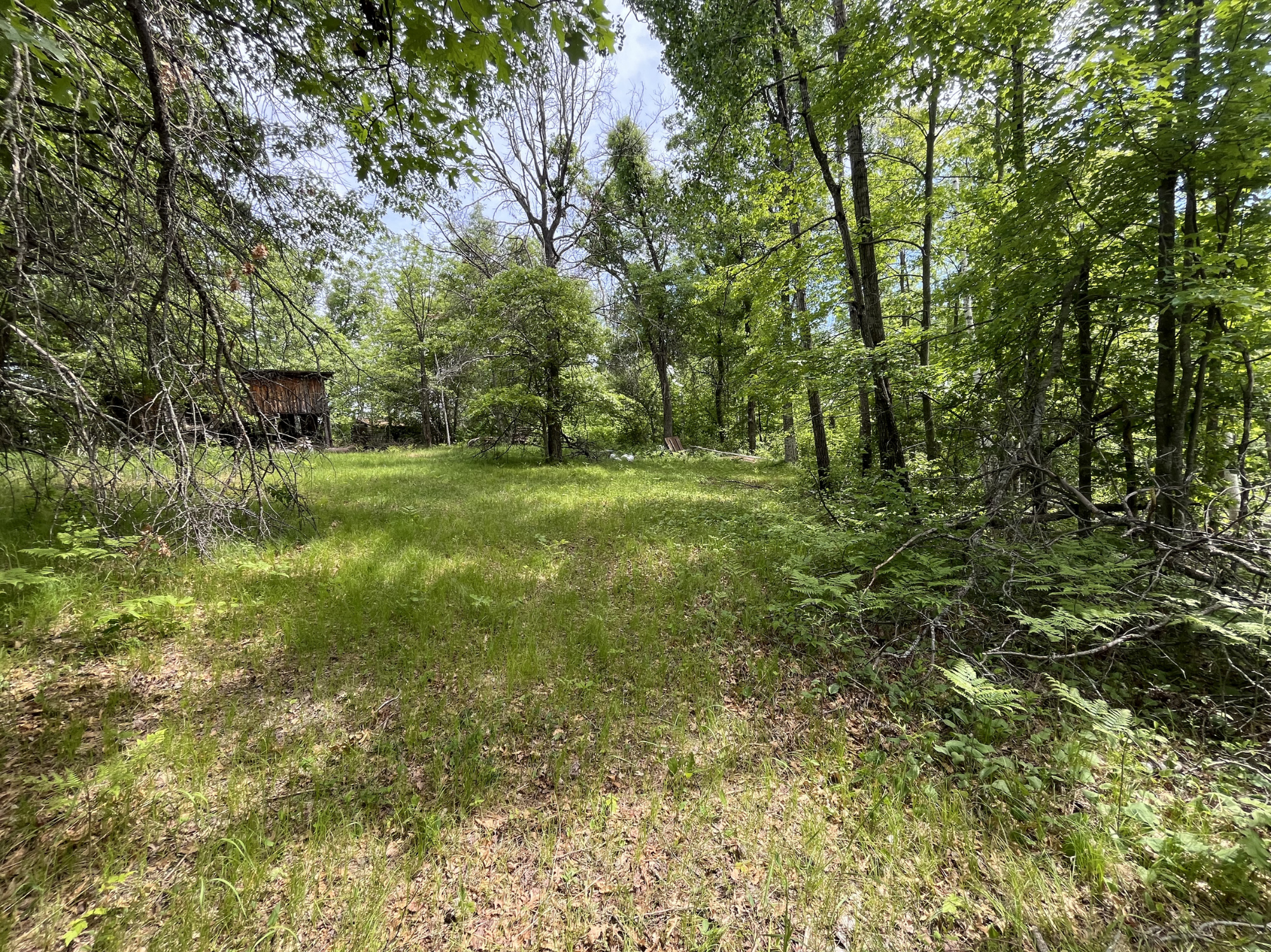 13384 Sorenson Lake Road Merrifield, MN 56465 - Photo 38 of 45