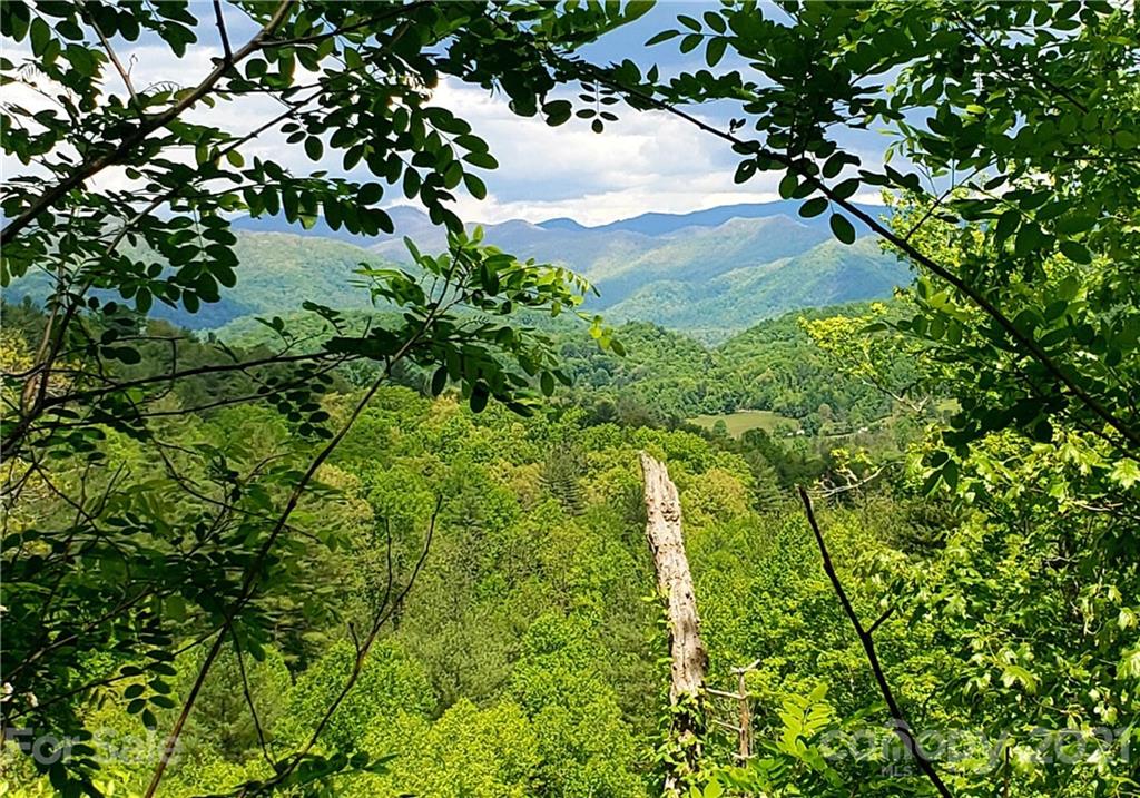 0 Cabin Ridge Trail Cullowhee, NC 28723 - Photo 1 of 6 Gallery Image 1