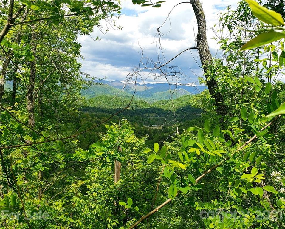 0 Cabin Ridge Trail Cullowhee, NC 28723 - Photo 2 of 6 Gallery Image 2