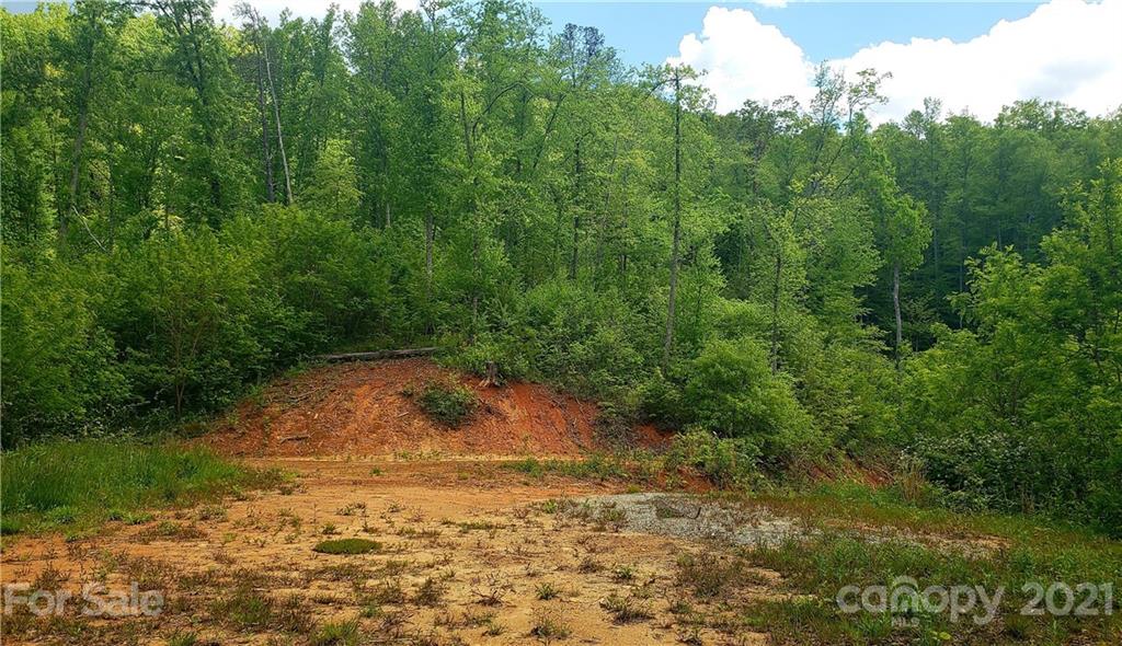 0 Cabin Ridge Trail Cullowhee, NC 28723 - Photo 3 of 6 Gallery Image 3