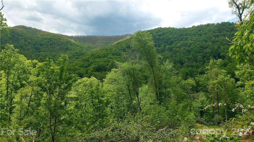 0 Cabin Ridge Trail Cullowhee, NC 28723 - Photo 4 of 6 Gallery Image 4