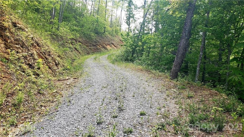 0 Cabin Ridge Trail Cullowhee, NC 28723 - Photo 5 of 6 Gallery Image 5