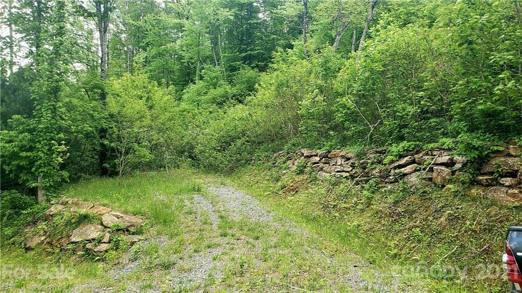 0 Cabin Ridge Trail Cullowhee, NC 28723 - Photo 6 of 6 Gallery Image 6