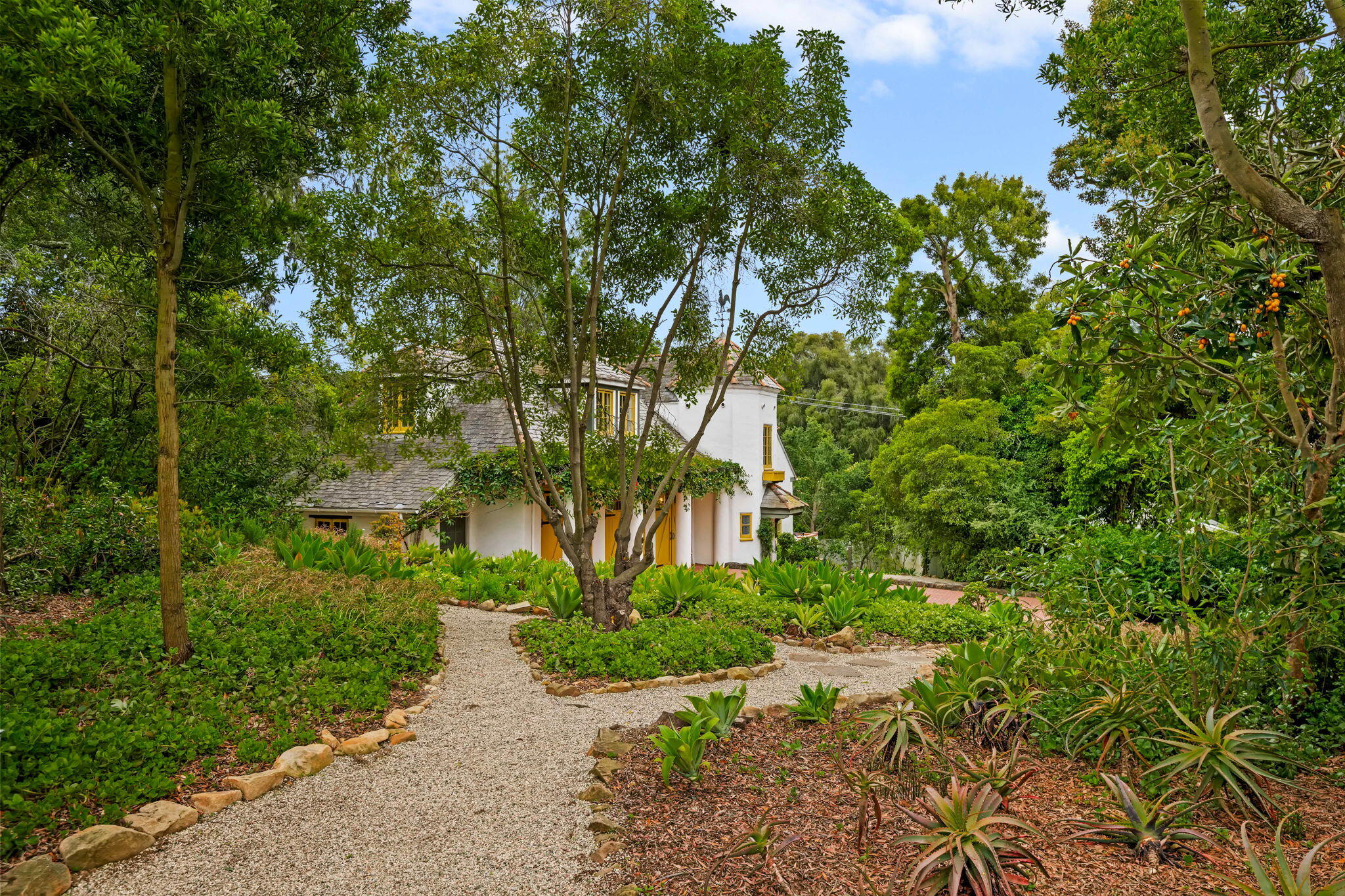 2040 Mission Ridge Road Santa Barbara, CA 93103 - Photo 35 of 38 a view of a garden with plants