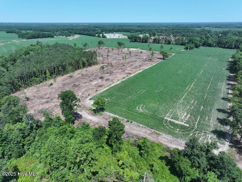 71 Highway 71 Red Springs, NC 28377 - Photo 4 of 17 DJI_20250604162154_0531_D