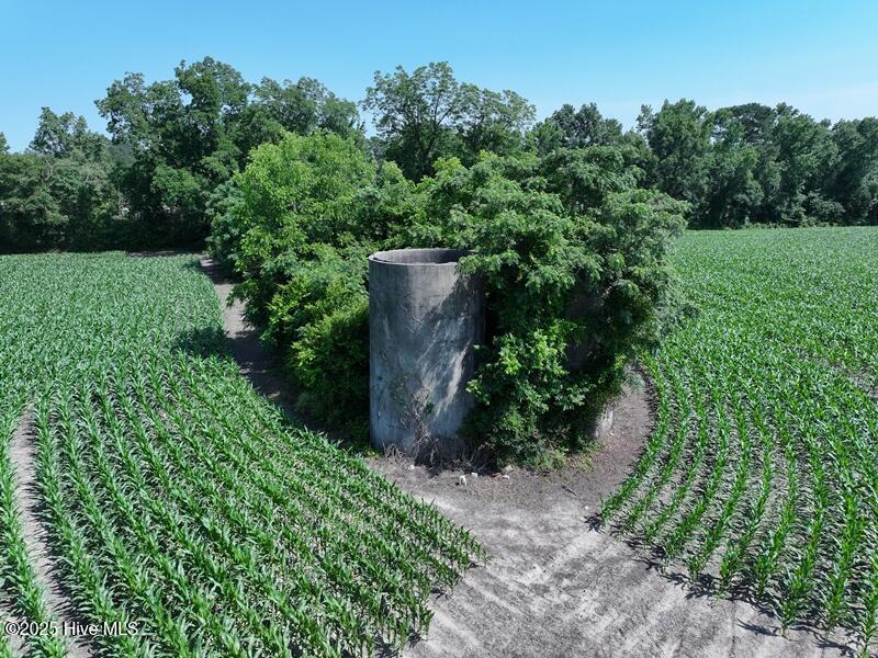 71 Highway 71 Red Springs, NC 28377 - Photo 8 of 17 DJI_20250604162453_0536_D