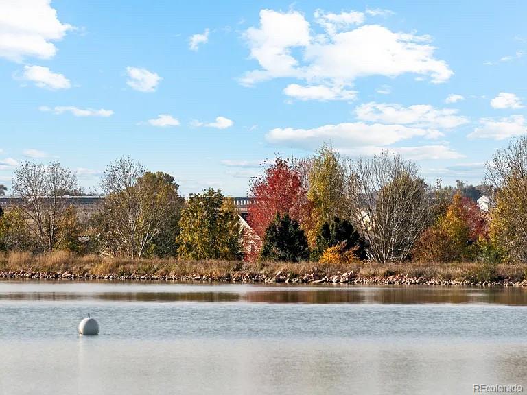 187 Robin Road Johnstown, CO 80534 - Photo 11 of 16 a view of a yard with an tree