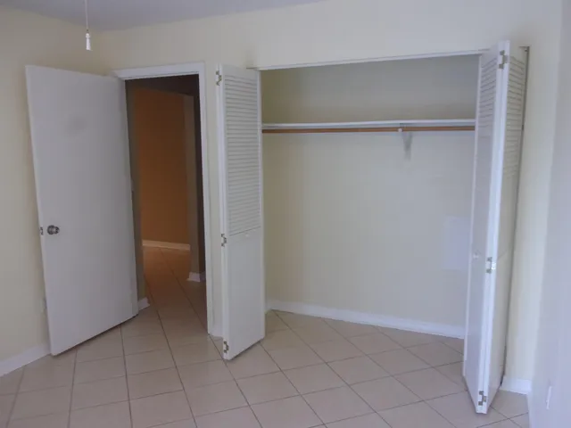 a view of a pathway with plants and large trees