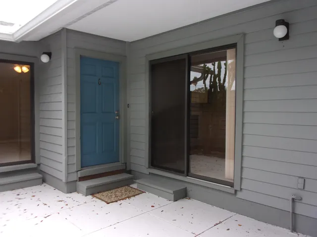 a view of backyard with plants