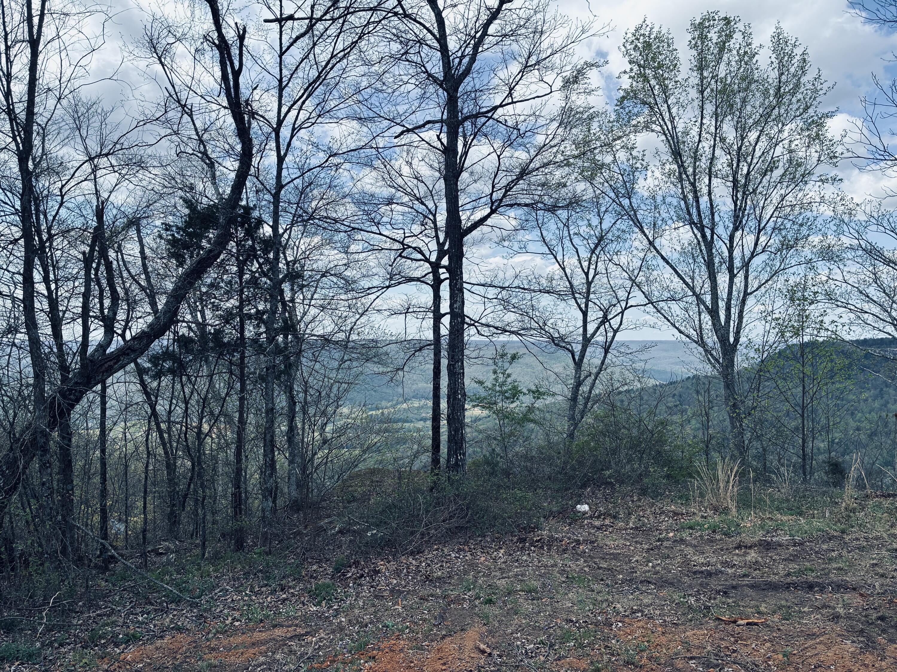 755 Sunset Circle, Unit SV109 Jasper, TN 37347 - Photo 31 of 48 IMG_5538