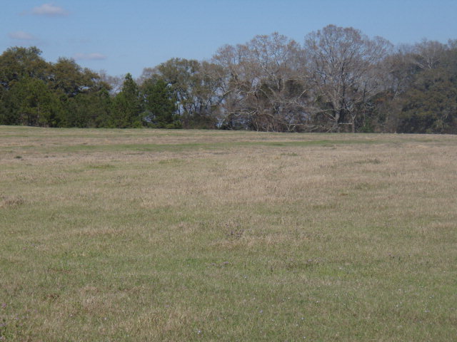 0 Edsel Deese Road Ashford, AL 36312 - Photo 1 of 1
