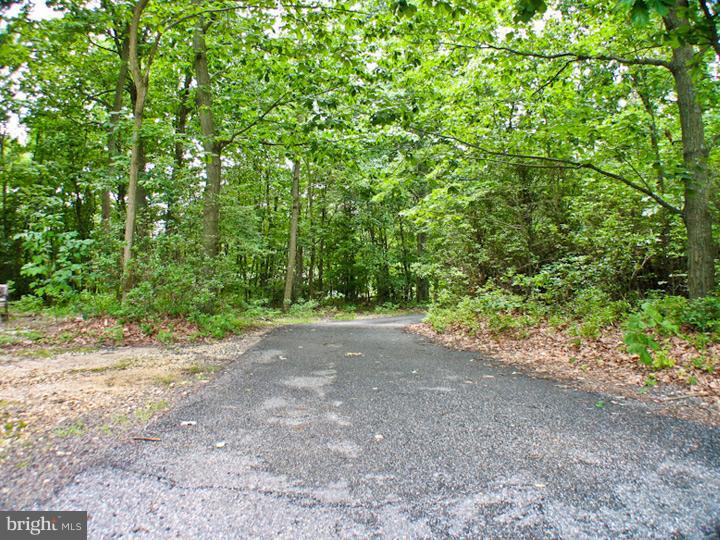 34 Brown Road Quinton, NJ 08302 - Photo 22 of 25 Driveway