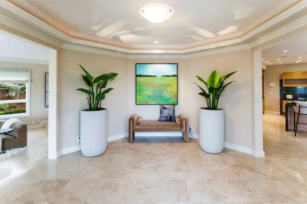 a living room with furniture and a potted plant