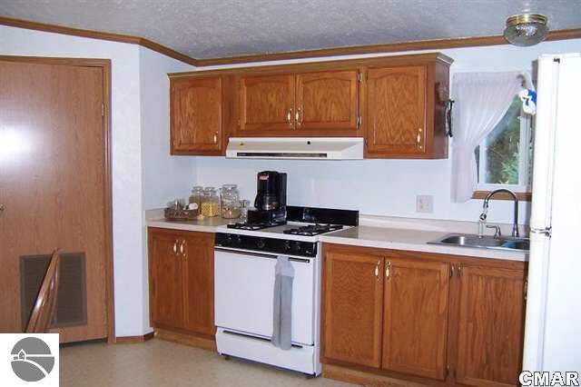 2706 East Beaverton Road Clare, MI 48617 - Photo 6 of 14 1769156-5.JPG