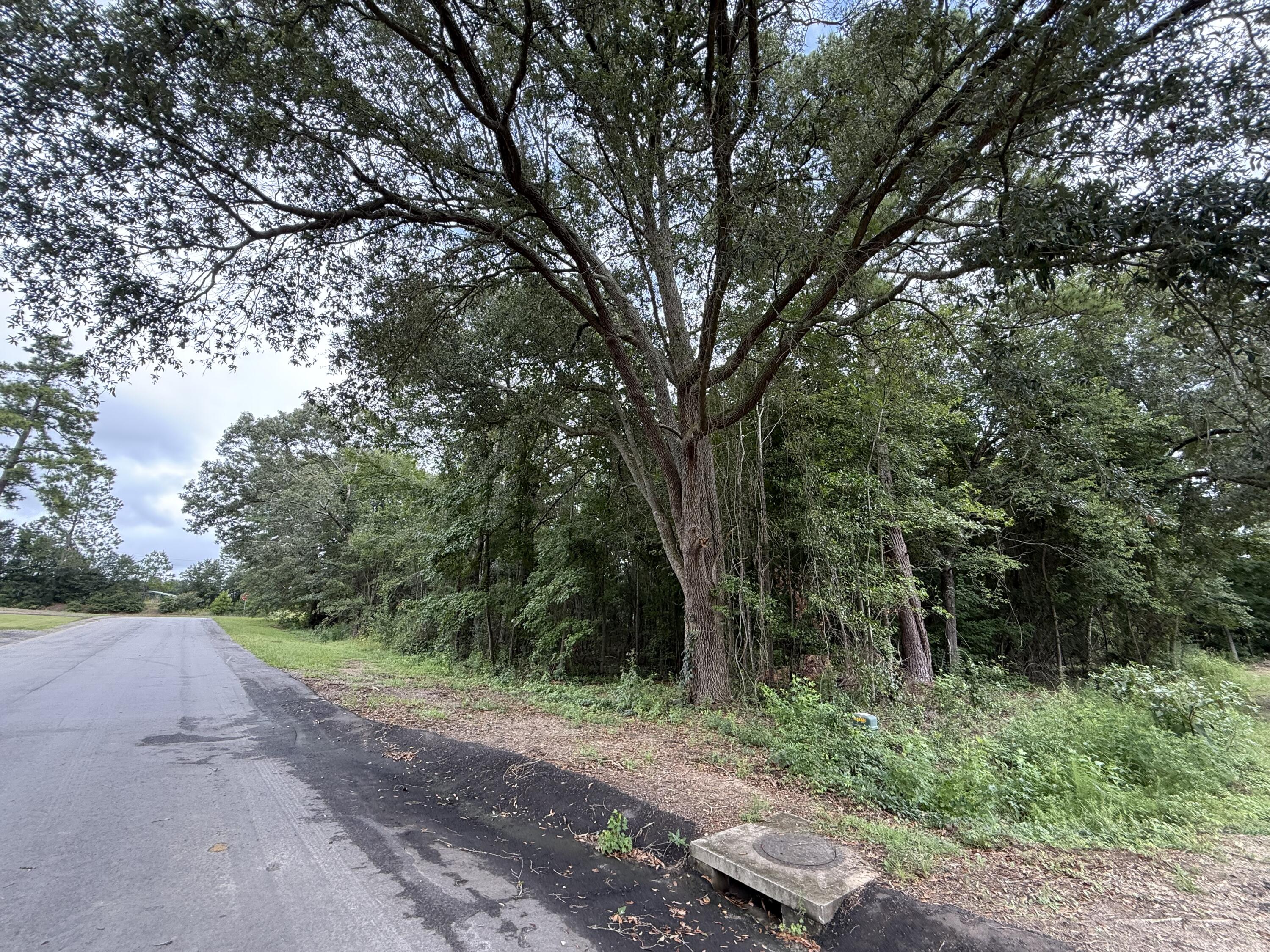0 Live Oak Lane Barnwell, SC 29812 - Photo 9 of 23 IMG_2590