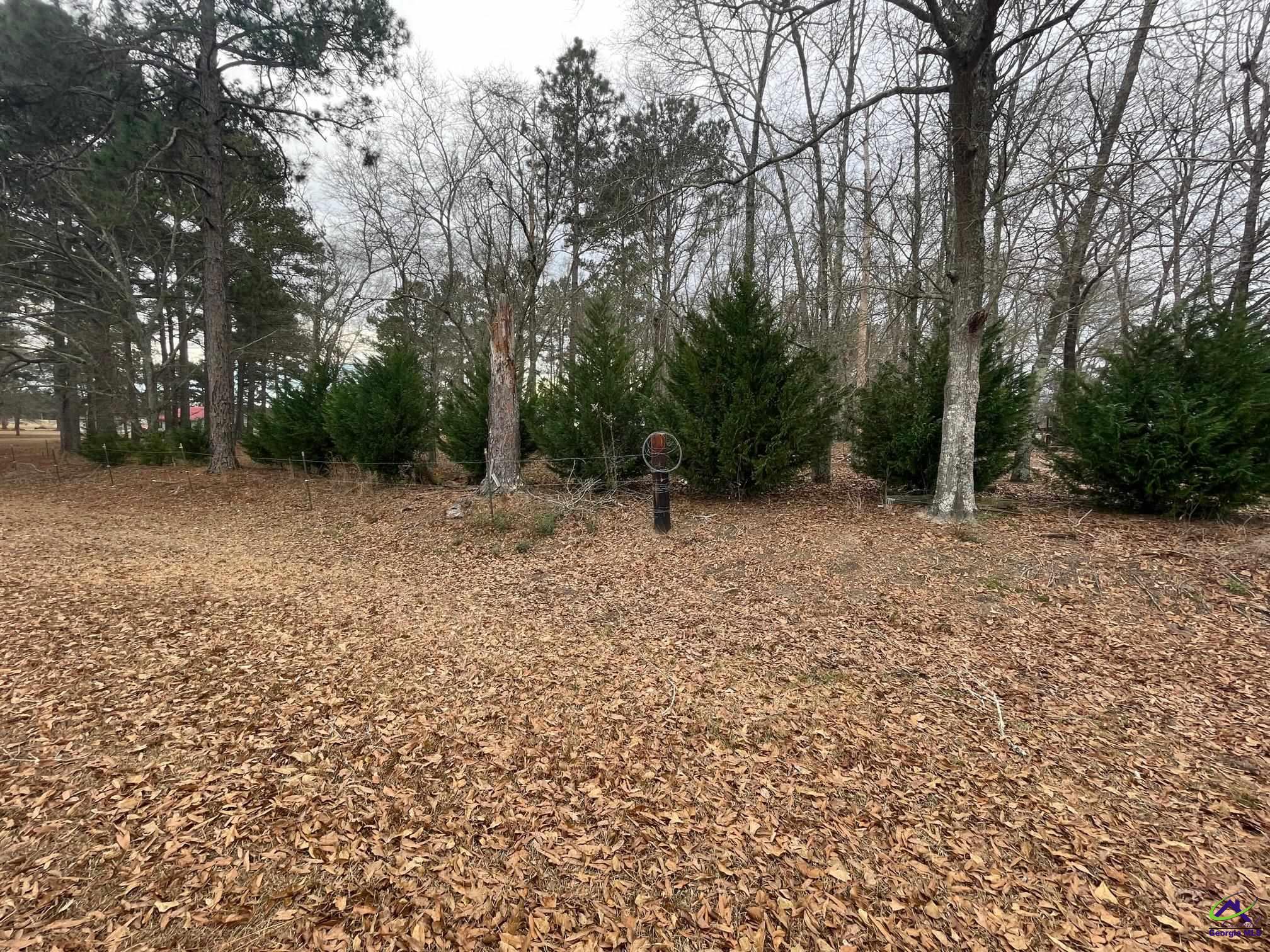 Bates Road Cochran, GA 31014 - Photo 1 of 11