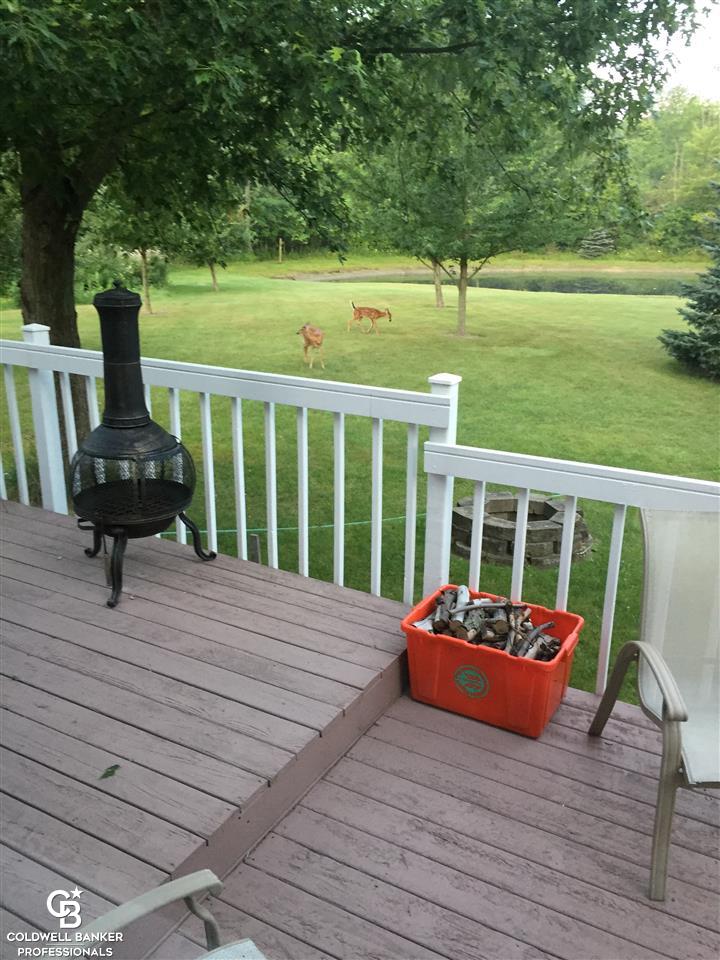 3605 Bricker Road Avoca, MI 48006 - Photo 19 of 23 Deer View 2
