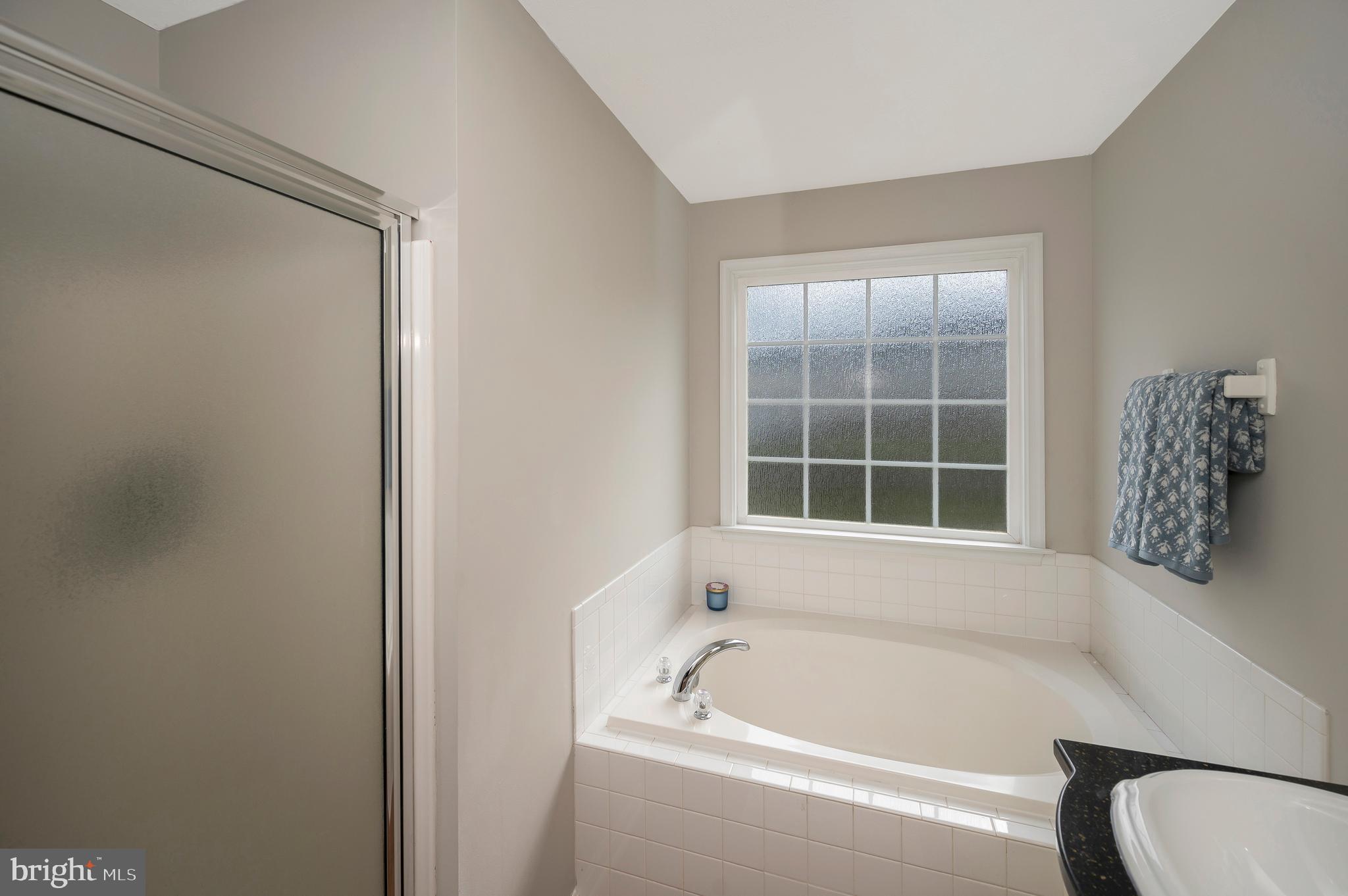 35342 Hawks Nest Court Locust Grove, VA 22508 - Photo 28 of 52 a bathroom with a bathtub and window