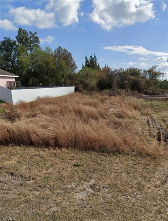 4207 27th Street Southwest Lehigh Acres, FL 33976 - Photo 1 of 4 View of yard