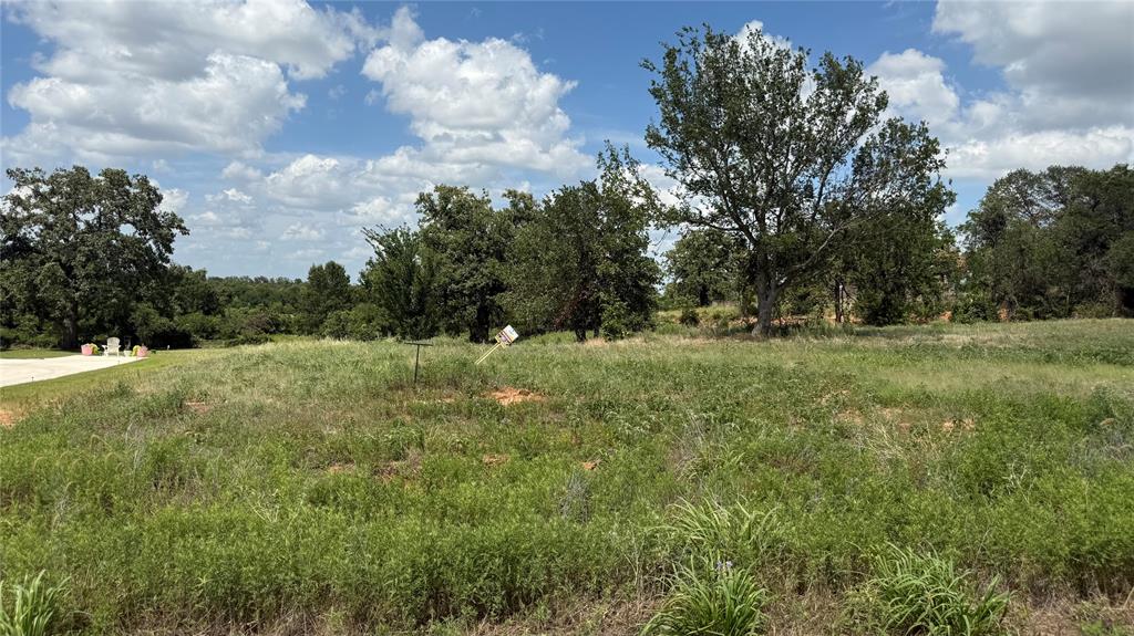1175 Gonzollas Road Springtown, TX 76082 - Photo 4 of 4