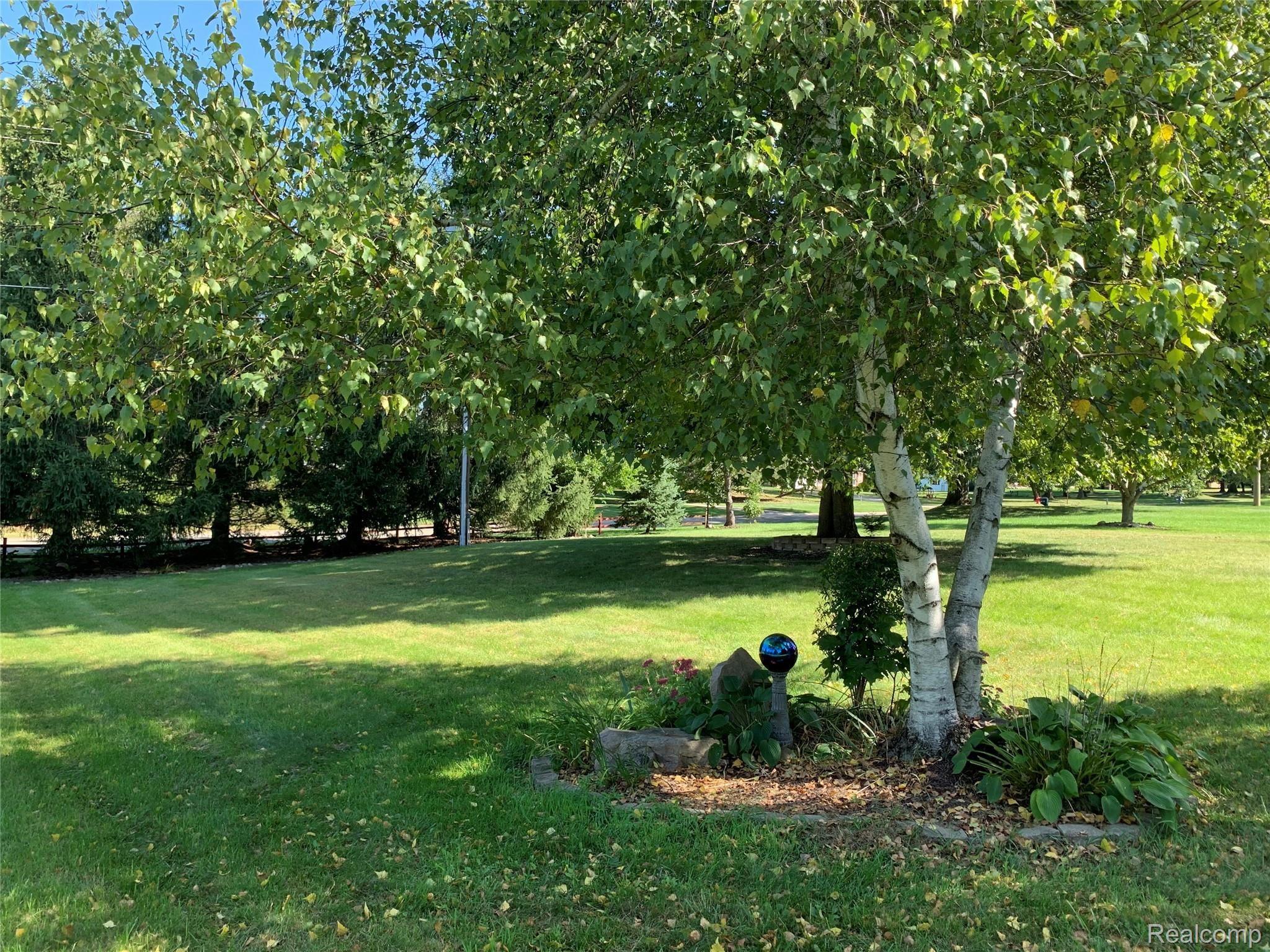 front yard 1.jpg