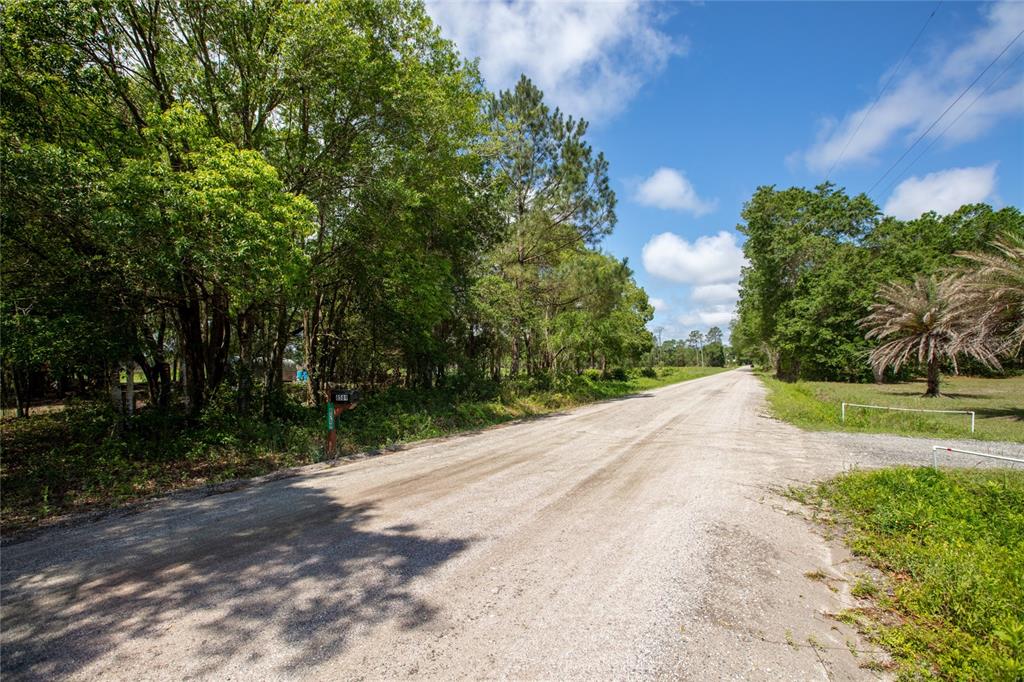 Northwest 185th Street Starke, FL 32091 - Photo 13 of 19 a view of a yard with plants and trees