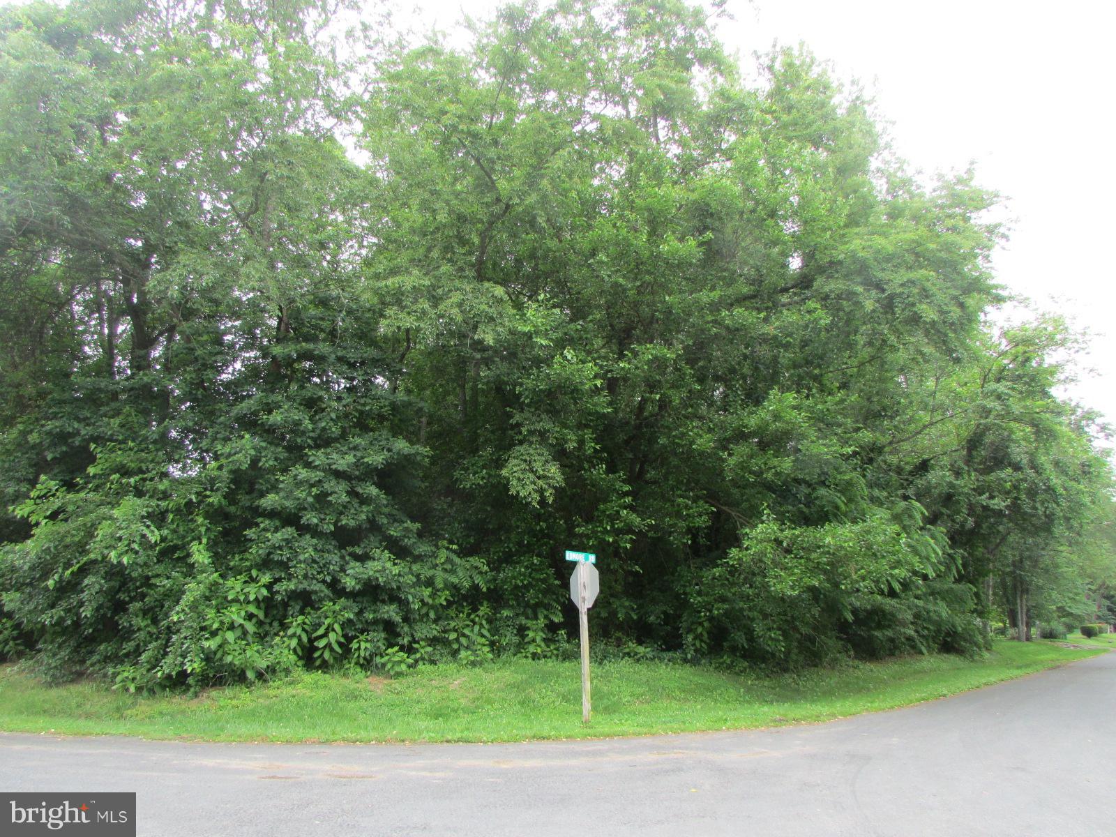 101 Creston Road Chestertown, MD 21620 - Photo 3 of 3 View