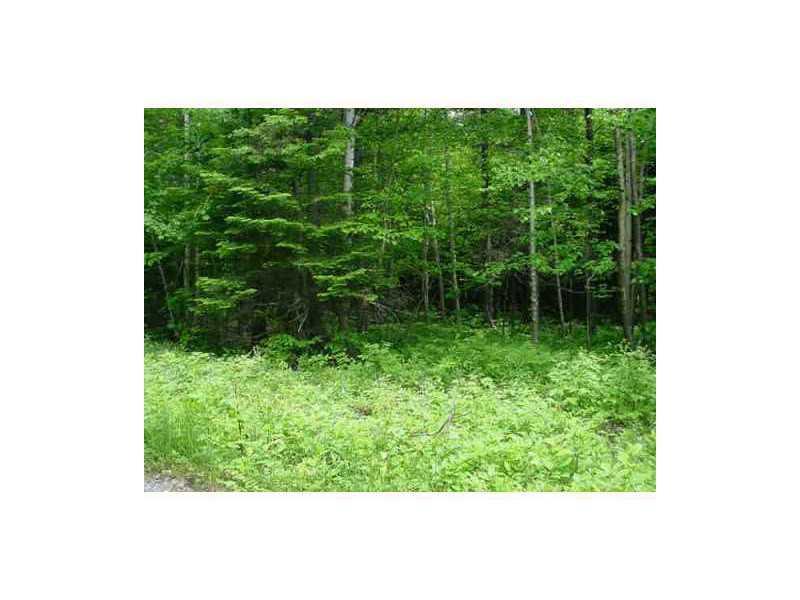 Land. cleared area at the end of the...