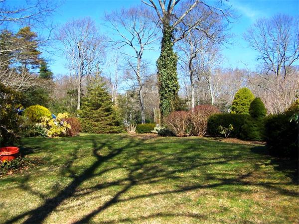 36 Blackbird Road Barnstable, MA 02648 - Photo 27 of 29 a backyard of a house with lots of green space
