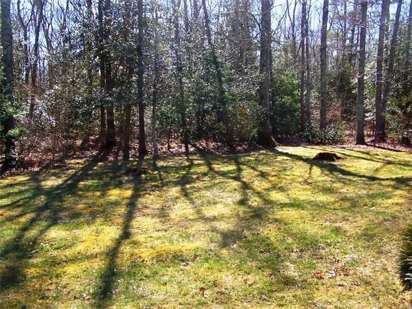 36 Blackbird Road Barnstable, MA 02648 - Photo 28 of 29 a view of a swimming pool with some trees