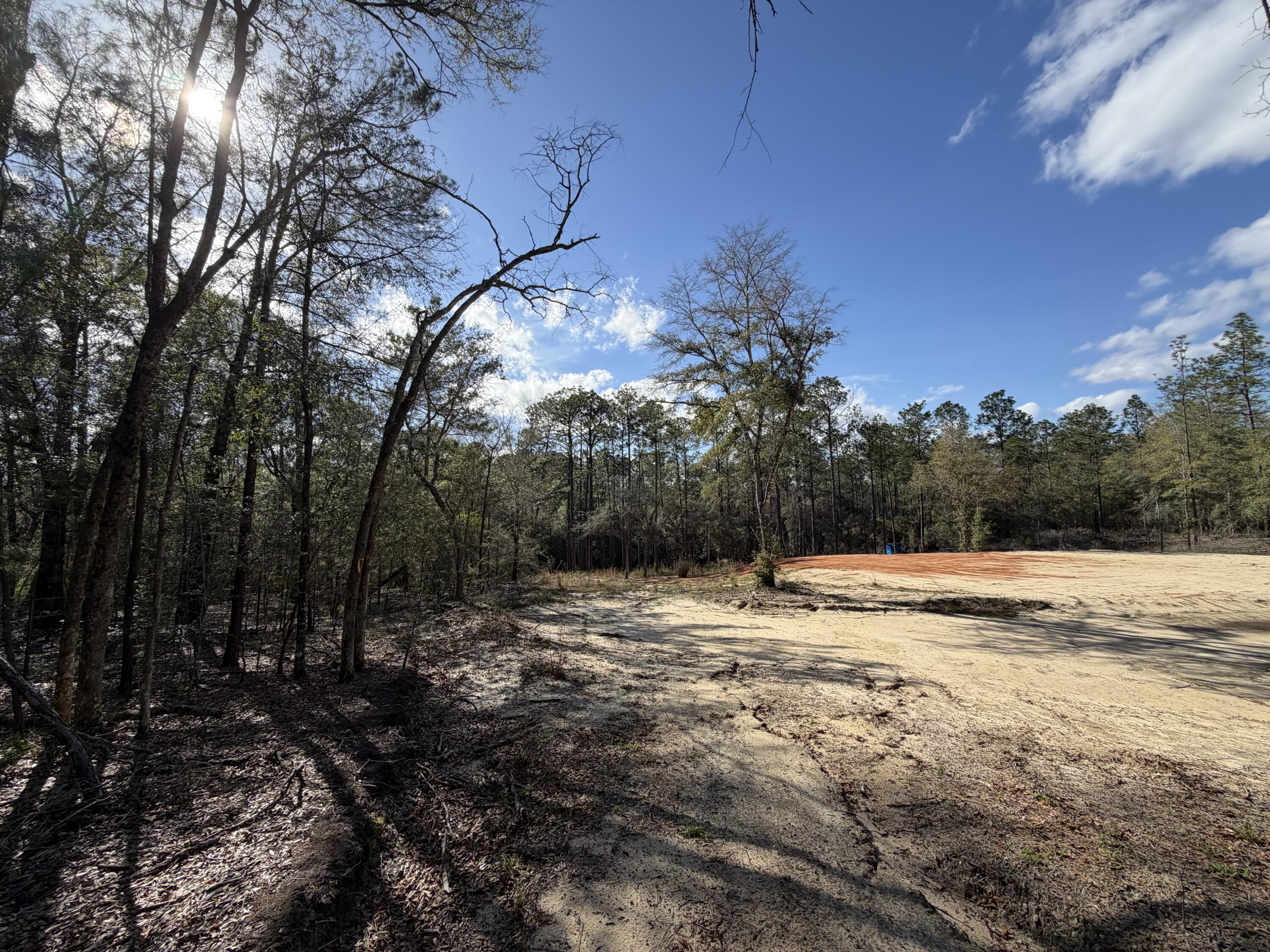 0 Bear Head Road Crestview, FL 32539 - Photo 11 of 22 IMG_2569