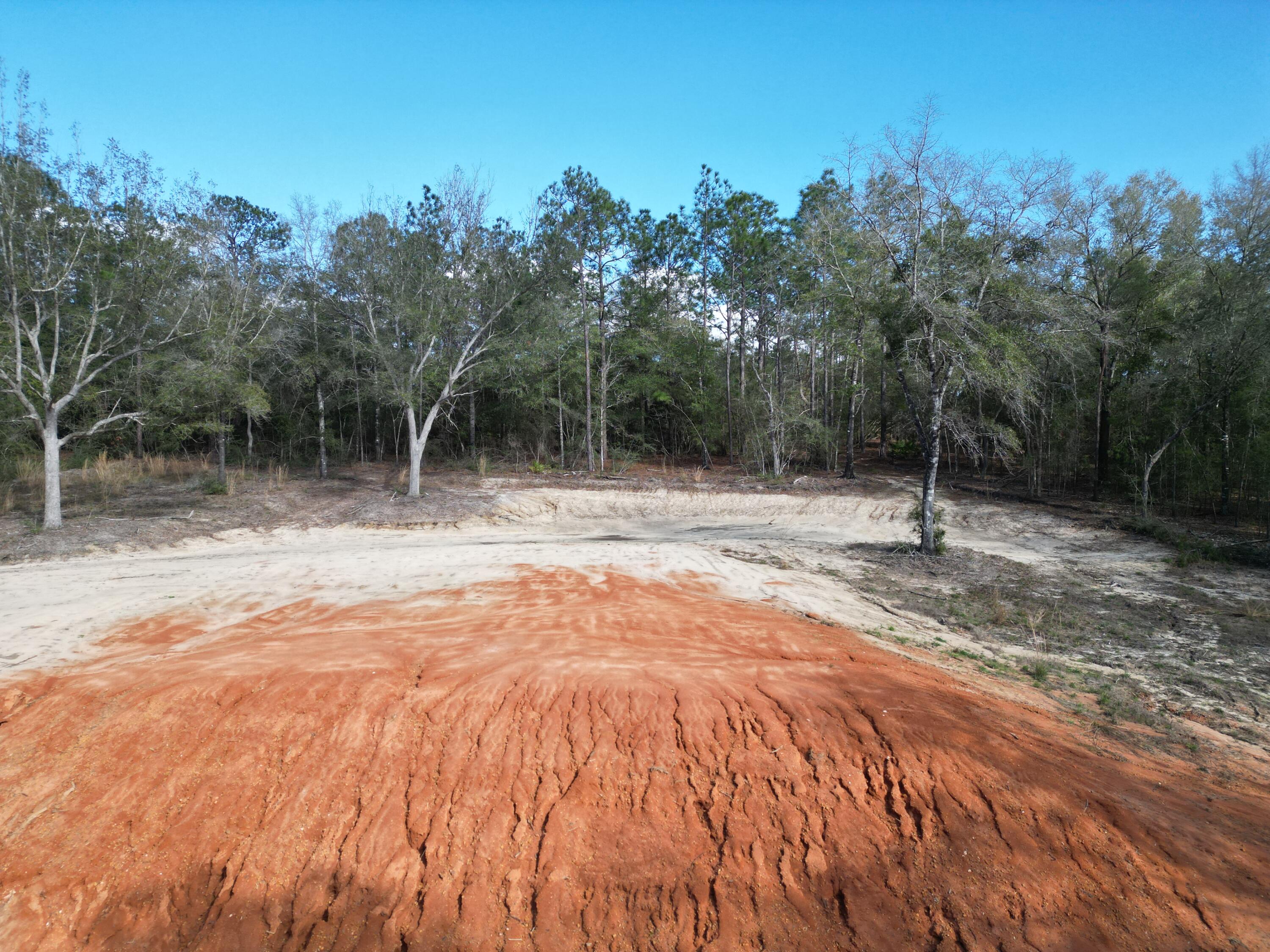 0 Bear Head Road Crestview, FL 32539 - Photo 13 of 22 dji_fly_20260316_160858_413_177369603817