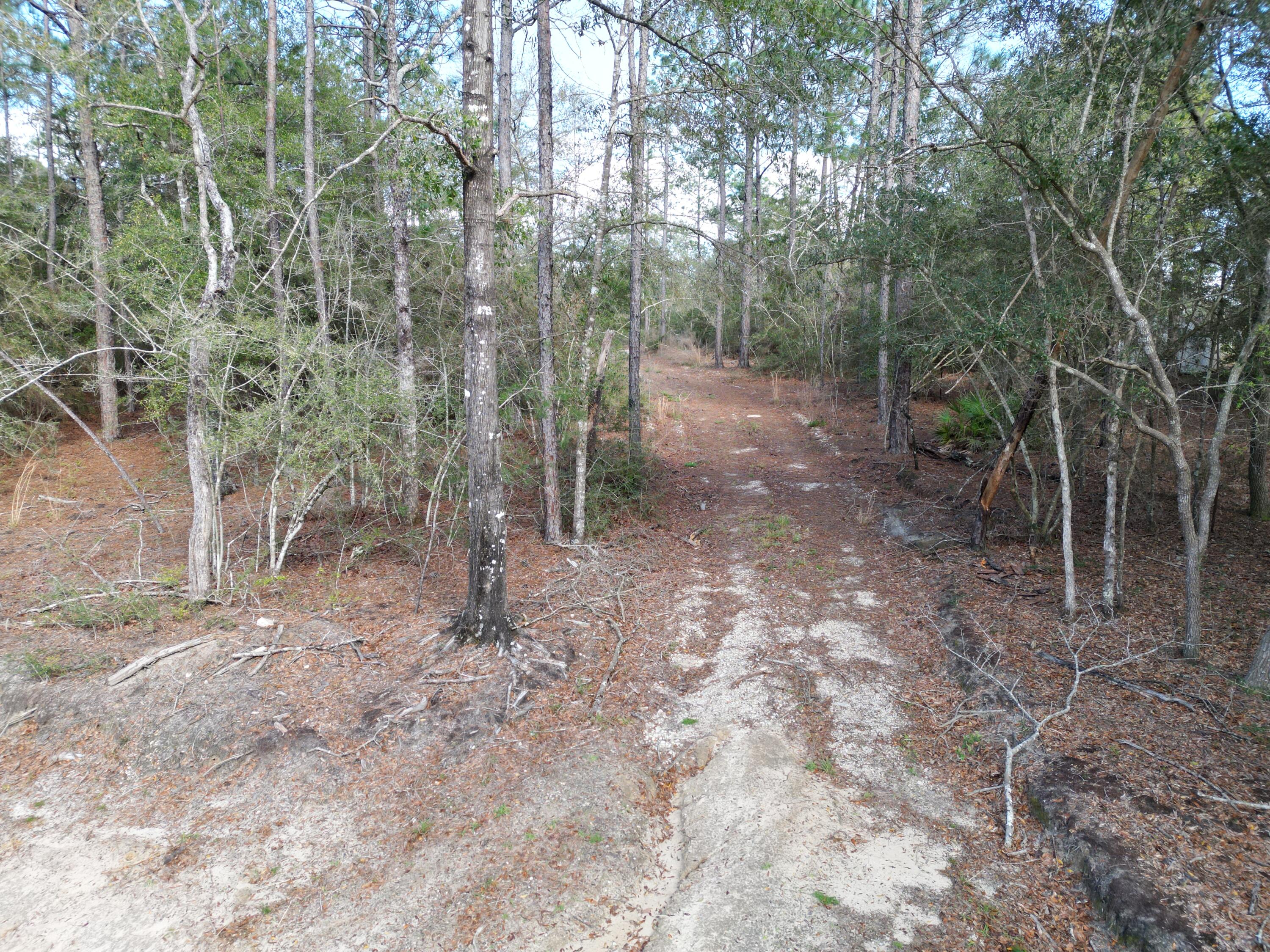 0 Bear Head Road Crestview, FL 32539 - Photo 15 of 22 dji_fly_20260316_160800_411_177369603873