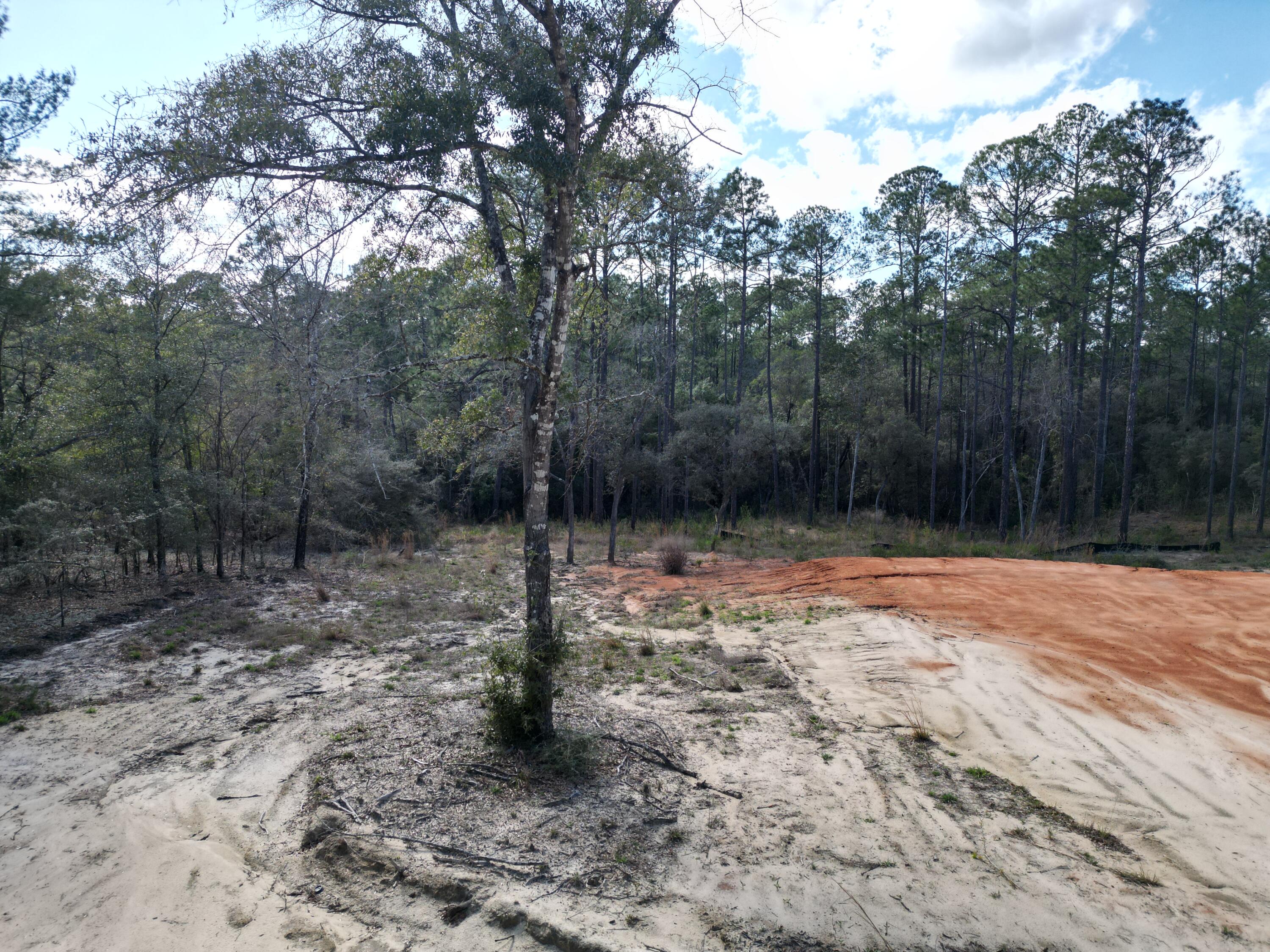 0 Bear Head Road Crestview, FL 32539 - Photo 16 of 22 dji_fly_20260316_160738_410_177369603905