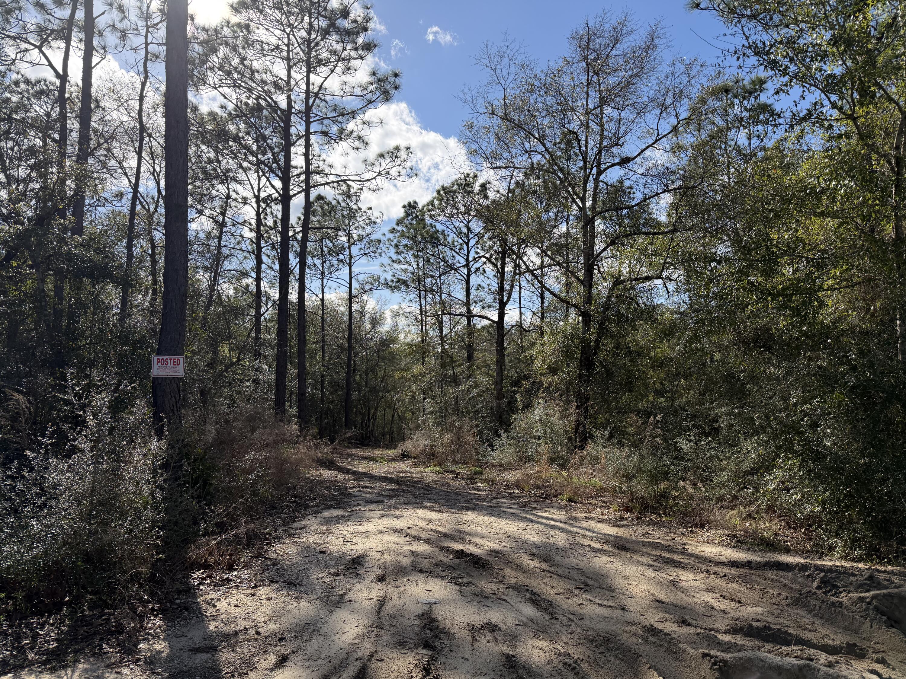0 Bear Head Road Crestview, FL 32539 - Photo 2 of 22 IMG_2565