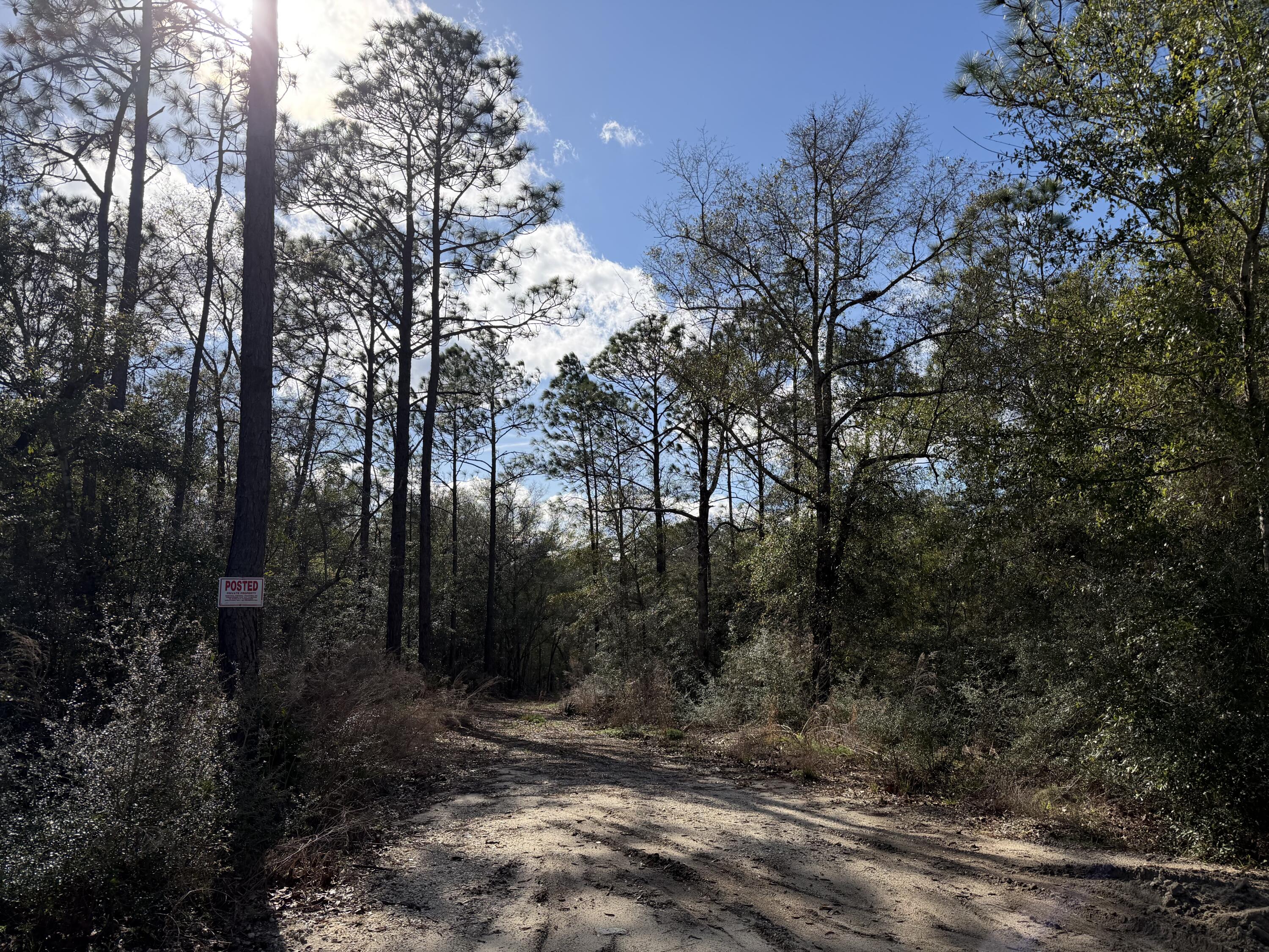 0 Bear Head Road Crestview, FL 32539 - Photo 3 of 22 IMG_2564