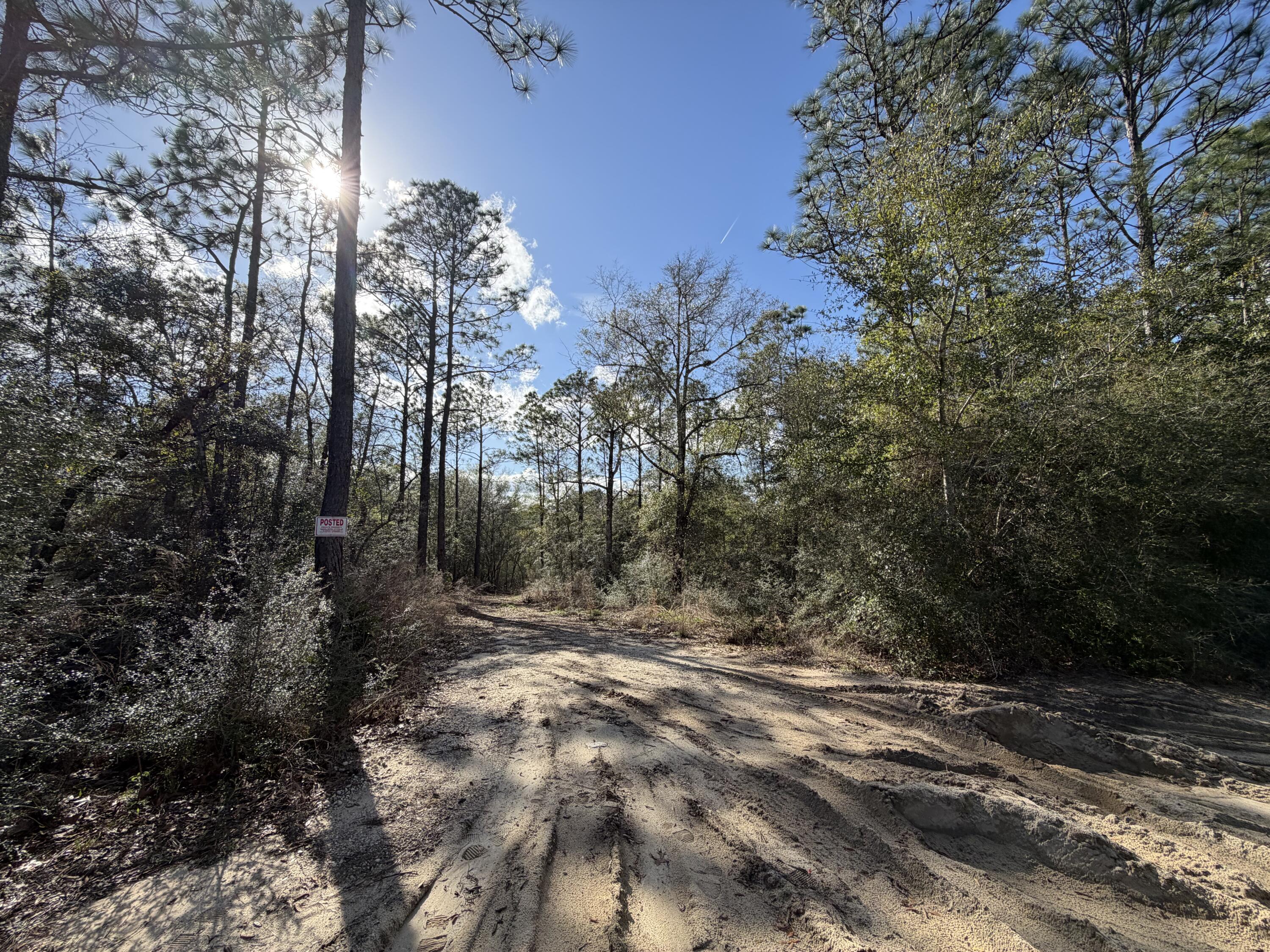 0 Bear Head Road Crestview, FL 32539 - Photo 5 of 22 IMG_2574