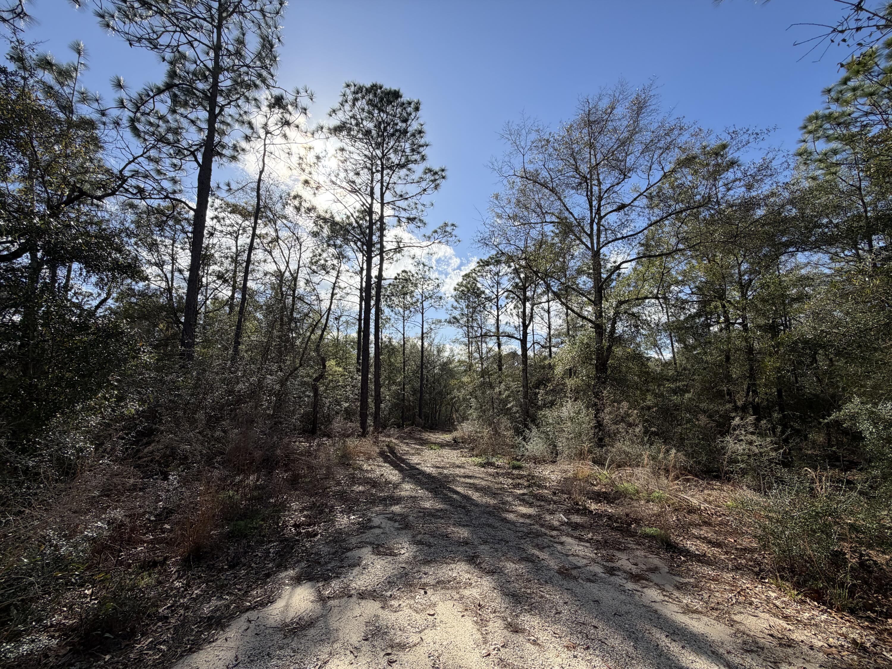 0 Bear Head Road Crestview, FL 32539 - Photo 6 of 22 IMG_2567