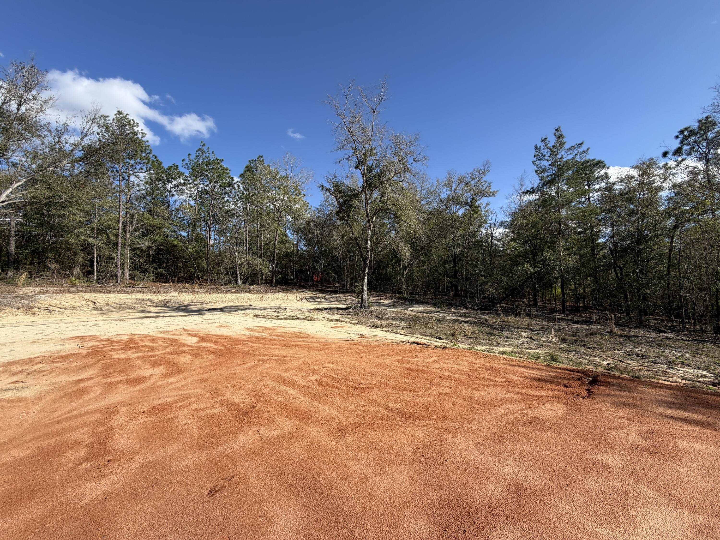 0 Bear Head Road Crestview, FL 32539 - Photo 7 of 22 IMG_2573