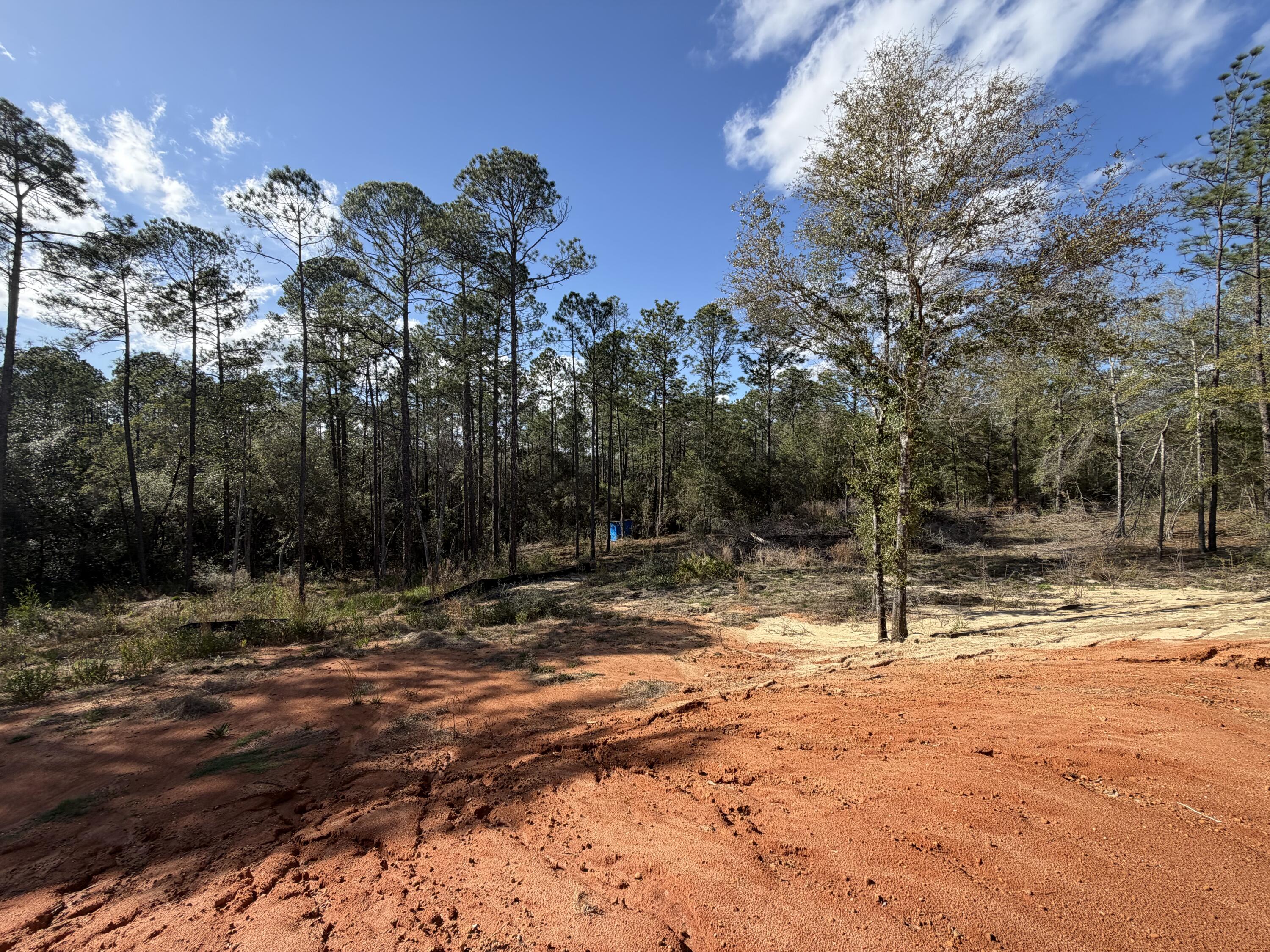 0 Bear Head Road Crestview, FL 32539 - Photo 8 of 22 IMG_2572