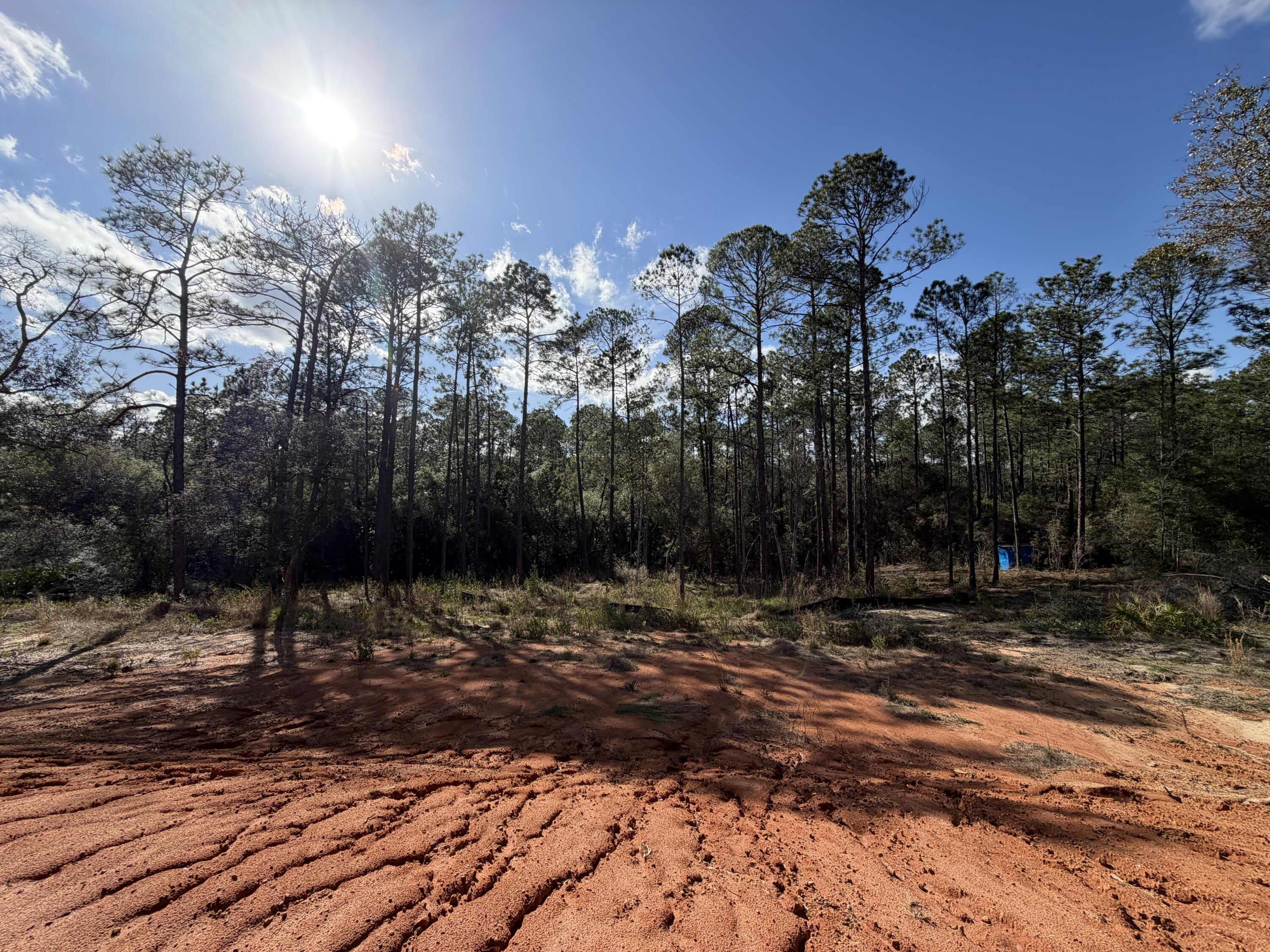 0 Bear Head Road Crestview, FL 32539 - Photo 9 of 22 IMG_2571